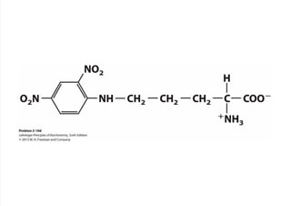 cap_03_lehninger.pdf