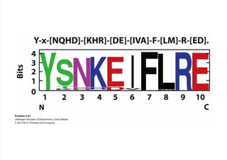 cap_03_lehninger.pdf