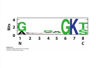 cap_03_lehninger.pdf