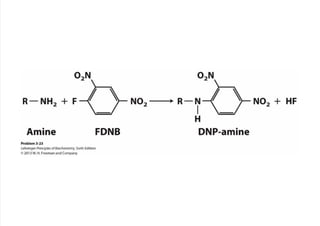 cap_03_lehninger.pdf