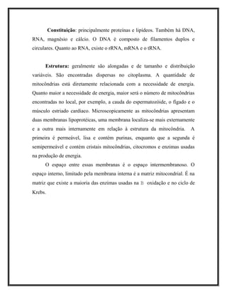 Constituição: principalmente proteínas e lipídeos. Também há DNA,
RNA, magnésio e cálcio. O DNA é composto de filamentos duplos e
circulares. Quanto ao RNA, existe o rRNA, mRNA e o tRNA.
Estrutura: geralmente são alongadas e de tamanho e distribuição
variáveis. São encontradas dispersas no citoplasma. A quantidade de
mitocôndrias está diretamente relacionada com a necessidade de energia.
Quanto maior a necessidade de energia, maior será o número de mitocôndrias
encontradas no local, por exemplo, a cauda do espermatozóide, o fígado e o
músculo estriado cardíaco. Microscopicamente as mitocôndrias apresentam
duas membranas lipoprotéicas, uma membrana localiza-se mais externamente
e a outra mais internamente em relação à estrutura da mitocôndria. A
primeira é permeável, lisa e contém purinas, enquanto que a segunda é
semipermeável e contém cristais mitocôndrias, citocromos e enzimas usadas
na produção de energia.
O espaço entre essas membranas é o espaço intermembranoso. O
espaço interno, limitado pela membrana interna é a matriz mitocondrial. É na
matriz que existe a maioria das enzimas usadas na B oxidação e no ciclo de
Krebs.
 