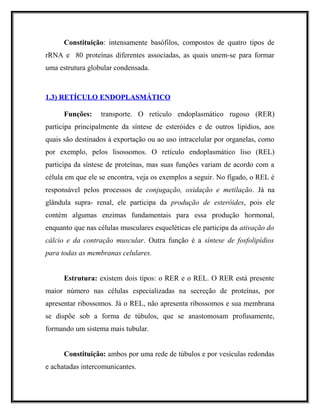 Constituição: intensamente basófilos, compostos de quatro tipos de
rRNA e 80 proteínas diferentes associadas, as quais unem-se para formar
uma estrutura globular condensada.
1.3) RETÍCULO ENDOPLASMÁTICO1.3) RETÍCULO ENDOPLASMÁTICO
Funções: transporte. O retículo endoplasmático rugoso (RER)
participa principalmente da síntese de esteróides e de outros lipídios, aos
quais são destinados à exportação ou ao uso intracelular por organelas, como
por exemplo, pelos lisossomos. O retículo endoplasmático liso (REL)
participa da síntese de proteínas, mas suas funções variam de acordo com a
célula em que ele se encontra, veja os exemplos a seguir. No fígado, o REL é
responsável pelos processos de conjugação, oxidação e metilação. Já na
glândula supra- renal, ele participa da produção de esteróides, pois ele
contém algumas enzimas fundamentais para essa produção hormonal,
enquanto que nas células musculares esqueléticas ele participa da ativação do
cálcio e da contração muscular. Outra função é a síntese de fosfolipídios
para todas as membranas celulares.
Estrutura: existem dois tipos: o RER e o REL. O RER está presente
maior número nas células especializadas na secreção de proteínas, por
apresentar ribossomos. Já o REL, não apresenta ribossomos e sua membrana
se dispõe sob a forma de túbulos, que se anastomosam profusamente,
formando um sistema mais tubular.
Constituição: ambos por uma rede de túbulos e por vesículas redondas
e achatadas intercomunicantes.
 