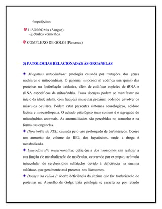 -hepatócitos
LISOSSOMA (Sangue)
-glóbulos vermelhos
COMPLEXO DE GOLGI (Pâncreas)
3) PATOLOGIAS RELACIONADAS ÀS ORGANELAS3) PATOLOGIAS RELACIONADAS ÀS ORGANELAS
Miopatias mitocôndrias: patologia causada por mutações dos genes
nucleares e mitocondriais. O genoma mitocondrial codifica um quinto das
proteínas na fosforilação oxidativa, além de codificar espécies de tRNA e
rRNA específicos da mitocôndria. Essas doenças podem se manifestar no
início da idade adulta, com fraqueza muscular proximal podendo envolver os
músculos oculares. Podem estar presentes sintomas neurológicos, acidose
láctica e miocardiopatia. O achado patológico mais comum é o agregado de
mitocôndrias anormais. As anormalidades são percebidas no tamanho e na
forma das organelas.
Hipertrofia do REL: causada pelo uso prolongado de barbitúricos. Ocorre
um aumento de volume do REL dos hepatócitos, onde a droga é
metabolizada.
Leucodistrofia metacromática: deficiência dos lisossomos em realizar a
sua função de metabolização de moléculas, ocorrendo por exemplo, acúmulo
intracelular de cerebrosídios sulfatados devido à deficiência na enzima
sulfatase, que geralmente está presente nos lisossomos.
Doença da célula I: ocorre deficiência da enzima que faz fosforização de
proteínas no Aparelho de Golgi. Esta patologia se caracteriza por retardo
 