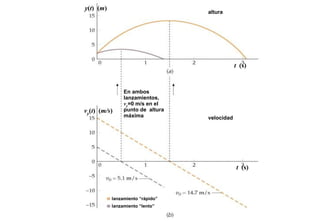 y ( t ) (m )
                                      altura




                                                  t (s)


                    En ambos
                    lanzamientos,
                    vy=0 m/s en el
vy(t) (m/s)         punto de altura
                    máxima            velocidad




                                                  t (s)



               lanzamiento “rápido”
               lanzamiento “lento”
 