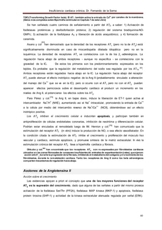 Insuficiencia cardiaca crónica. Dr. Fernando de la Serna
60
1
2+
2
TGFβ(Transforming Growth Factor beta). El AT1 también activa la entrada de Ca
(Datos más completos sobre Hipertrofia ventricular en Capítulo 7 de este Libro)
por canales de la membrana.
Se han señalado cuatro caminos de señalamiento a partir del AT2, a saber: 1) Activación de
fosfatasas protéinicas y desfosforilación proteica; 2) regulación del sistema bradiquinina-NO-
GMPc; 3) activación de la fosfolipasa A2 y liberación de ácido araquidónico; y 4) formación de
ceramida.
Asano y col
[63]
han demostrado que la densidad de los receptores AT1
(pero no la de AT2
) está
significativamente disminuida en caso de miocardiopatía dilatada idiopática pero no en la
isquémica. La densidad de receptores AT1
se correlaciona con la de los β1
renérgicos. La-ad
regulación hacia abajo de ambos receptores - aunque no específica - se correlaciona con la
gravedad de la IC. De estos los primeros son los predominantemente expresados en los
.[63]
tejidos. Es probable que la regulación del metabolismo del sodio sea regulada por los AT1a .
Ambos receptores están regulados hacia abajo en la IC. La regulación hacia abajo del receptor
AT1
puede atenuar el efecto inotrópico negativo de la Ang II (probablemente vinculado a alteración
del manejo del Ca
++
que se ve en la IC); pero si ocurre con el AT pero no con el AT2
pueden
aparecer efectos perniciosos sobre el desempeño cardíaco al producir un incremento en los
niveles de Ang II, al potenciarse los efectos sobre los AT2
.
Para Pérez y col.
[75]
la Ang II, en bajas dosis, induce la liberación de ET-1 quien activa al
intercambiador Na
+
/H
+
(NHE), aumentando asi el Na
+
intracelular, promoviendo la entrada de Ca
++
a la célula por medio del intercambio reverso de Na
+
/Ca
++
(NCX), obteniéndose así un efecto
inotrópico positivo.
Los AT2
inhiben el crecimiento celular e inducirían apoptosis, y participan también en
antiproliferación de células endoteliales coronarias, inhibición de neoíntima y diferenciación celular.
Podrían estar vinculados al remodelado luego de IM. Henrion y col.
[76]
han comunicado que la
estimulación del receptor AT2 (in vitro) induce la producción de NO, o sea efecto vasodilatador. En
la condición citada la estimulación de AT2 inhibe el crecimiento y proliferación del músculo liso
vascular y cardiaco, estimula apoptosis, y promueve síntesis de la matriz extracelular. In vivo la
estimulación crónica del receptor AT2 lleva a hipertrofia cardiaca y fibrosis.
[65]
Ohkubo y col. han encontrado que los receptores AT son re-expresados por fibroblastos cardiacos
ubicados en las zonas fibrosadas de corazones insuficientes de animales de experimentación(ratas), que ejercen
acción anti-AT
1
durante la progresión de la fibrosis, inhibiendo el metabolismodel colágeno y el crecimientode los
fibroblastos, durante la remodelación cardiaca. Tanto los receptores de Ang II como los beta adrenérgicos
comparten mecanismos de regulación hacia abajo.
Acciones de la Angiotensina II
Acción sobre el crecimiento
Las evidencias apoyan a priori el concepto que una de las mayores funciones del receptor
AT2
es la supresión del crecimiento, dado que alguna de las señales a partir del mismo provoca
activación de la fosfatasa Ser/Thr (PP2A), fosfatasa MAP kinasa (MKP-1) y apoptosis, fosfatasa
protein tirosina (SHP-1) y actividad de la kinasa extracelular atenuada regulada por señal (ERK).
 
