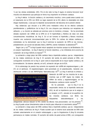 Insuficiencia cardiaca crónica. Dr. Fernando de la Serna
64
1) por las células endoteliales (CE). Por el otro lado la Ang II regula el sistema funcional local
miocítico de aldosterona que participa en forma muy importante en la fibrosis cardiaca.
La Ang II afecta la función cardíaca y el crecimiento miocítico, como puede verse cuando con
el tratamiento de la HTA con IECA se logra reversión de la HVI, efecto no observable con otras
drogas hipotensoras, o sea que no depende exclusivamente del descenso de la presión arterial.
Hay evidencias que vinculan a la OPN como mediadora crítica de los efectos cardiacos
proinflamatorios y profibróticos de la Ang II. Es una citoquina que interactúa con receptores de
adhesión, y su función es alterada por enzimas como la trombina y kinasas. Se ha encontrado
elevada expresión del mRNA de la OPN en el VI hipertrofiado y fibrótico de ratas con altas
concentraciones miocárdicas de Ang II. En el ser humano la hipertrofia y fibrosis miocíticas
muestra una sustancial inmunoreactividad para la OPN. En cultivos de células cardiacas y
endoteliales se ha demostrado que la Ang II estimula la expresión de OPN en las mismas,
probablemente por acción de radicales libres y MAPKs, siendo mediadora la aldosterona
[93]
.
Según Leri y col.
[94]
la Ang II puede inducir apoptosis de miocitos aunque no de fibroblastos. En
el corazón hipertrofiado , la Ang II deprime la función diastólica, y los inhibidores de la enzima de
conversión de la Ang II (IECA) la mejoran
[77,78]
.
La activación a largo plazo del SRA cardíaco lleva a hipertrofia cardíaca, que es independiente
de los niveles sistémicos de Ang II. El aumento del estrés de pared activaría al SRA, con
consiguiente incremento de la Ang II, quien sería la responsable de la mayor rigidez cardíaca y de
la remodelación. Se observa además, en la IC, activación del gen de la ECA.
En la sobrecarga de presión hay aumento de expresión del mARN del angiotensinógeno y del
AT1 en el ventrículo. El angiotensinógeno está aumentado en el subendocardio, teniendo una
distribución similar a la del ANP(Peptido Natriurético-tipo A)
[50]
. La Ang II estimula la síntesis y
liberación de ANP por los miocitos de la rata,
El SRA regula el balance vascular de fibrinolisis mientras que el ANP regula los niveles de
Kininogeno
Kalikreína
Bradiquinina
Péptidos inactivos
t-PA
ECA
PAI-1
Angiotensinógeno
Renina
ANG I
ANG II
ANG IV
Aldosterona
CE
CMLV
ARNm de renina y angiotensinógeno en los
fibroblastos cardíacos recién nacidos
[52]
.
Se ha postulado que la Ang II es la
responsable directa de la hipertrofia ventricular
(HV); de allí la importancia que se le asigna a
su receptor, el AT , ubicado en la superficie de1
Adaptado de: Brown NJ, Vaughn DE. Heart Failure Reviews. 1999;3:193- 19 8.
Figura 4-4. SRA y fibrinolisis. Tomado y adaptado de Brown
MJ, Vaughn DE. Heart Fail Rev 1999,3:193-198
los miocitos cardíacos. Los IECA, los
bloqueantes beta-adrenérgicos y los
[95]
antagonistas cálcicos reducen la HVI, siendo los efectos mas pronunciados con los primeros .
La Ang II puede actuar directamente sobre el miocito para influenciar el crecimiento celular
[96,97]
.
La activación a largo plazo del SRA cardíaco lleva a hipertrofia cardíaca, que es independiente
de los niveles sistémicos de Ang II. Puede suceder que el sistema local autacoide de SRA esté
activado selectivamente en el corazón sobrecargado, y que la Angiotensina II (Ang II) circulante
permanezca en niveles normales. El aumento del estrés de pared activa al SRA, con consiguiente
 