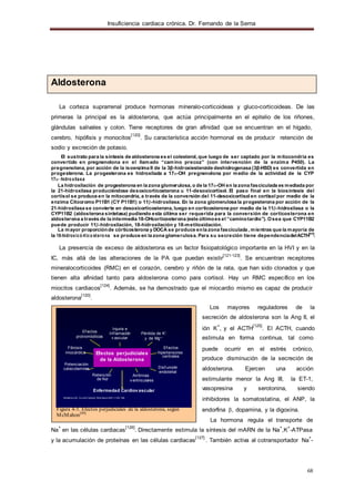 Insuficiencia cardiaca crónica. Dr. Fernando de la Serna
68
Aldosterona
La corteza suprarrenal produce hormonas míneralo-corticoideas y gluco-corticoideas. De las
primeras la principal es la aldosterona, que actúa principalmente en el epitelio de los riñones,
glándulas salivales y colon. Tiene receptores de gran afinidad que se encuentran en el hígado,
cerebro, hipófisis y monocitos
[120]
. Su característica acción hormonal es de producir retención de
sodio y excreción de potasio.
El sustrato para la síntesis de aldosterona es el colesterol, que luego de ser captado por la mitocondria es
convertido en pregnenolona en el llamado “camino precoz” (con intervención de la enzima P450). La
pregnenolona, por acción de la isoenzima II de la 3β-hidroxiesteroide deshidrogenasa (3β-HSD) es convertida en
progesterona. La progesterona es hidroxilada a 17α-OH pregnenolona por medio de la actividad de la CYP
17α−hidroxilasa
La hidroxilación de progesterona en la zona glomerulosa, o de la 17α-OH en la zona fasciculada es mediada por
la 21-hidroxilasa produciéndose desoxicorticosterona u 11-desoxicortisol. El paso final en la biosíntesis del
cortisol se produce en la mitocondria, a través de la conversión del 11-desoxicortisol en cortisol por medio de la
enzima Citocromo P11B1 (CY P11B1) o 11β-hidroxilasa. En la zona glomerulosa la progesterona por acción de la
21-hidroxilasa se convierte en desoxicorticosterona, luego en corticosterona por medio de la 11β-hidroxilasa o la
CYP11B2 (aldosterona sintetasa) pudiendo esta última ser requerida para la conversión de corticosterona en
aldosterona a través de la intermedia 18-OHcorticosterona (este últimoes el “caminotardío”). Osea que CYP11B2
puede producir 11β-hidroxilación, 18-hidroxilación y 18-metiloxidación.
La mayor proporciónde córticosterona y DOCA se produce enla zona fasciculada , mientras que la mayoría de
la 18-hidroxicórtico sterona se produce en la zona glomerulosa. Para su secreción tiene dependenciadelACTH[111]
.
La presencia de exceso de aldosterona es un factor fisiopatológico importante en la HVI y en la
IC, más allá de las alteraciones de la PA que puedan existir
[121-123]
. Se encuentran receptores
mineralocorticoides (RMC) en el corazón, cerebro y riñón de la rata, que han sido clonados y que
tienen alta afinidad tanto para aldosterona como para cortisol. Hay un RMC específico en los
miocitos cardiacos
[124]
. Además, se ha demostrado que el miocardio mismo es capaz de producir
aldosterona
[120]
.
Ef ectos
protrombóticos
Fibrosis
Injuria e
Inf lamación
v ascular
Pérdida de K+
y de Mg++
Ef ectos
Los mayores reguladores de la
secreción de aldosterona son la Ang II, el
ión K
+
, y el ACTH
[125]
. El ACTH, cuando
estimula en forma continua, tal como
puede ocurrir en el estrés crónico,
miocárdica
Potenciación
catecolaminas
Efectos perjudiciales
de la Aldosterona
hipertensores
centrales
Disf unción
endotelial
produce disminución de la secreción de
aldosterona. Ejercen una acción
Retención
de Na+
Arritmias
v entriculares estimulante menor la Ang III, la ET-1,
Enfermedad Cardiovascular
McMahon EG. Current Opinion Pharmacol.2001;1:190-196.
Figura 4-5. Efectos perjudiciales de la aldosterona, según
McMahon[99]
vasopresina y serotonina, siendo
inhibidores la somatostatina, el ANP, la
endorfina β, dopamina, y la digoxina.
La hormona regula el transporte de
Na
+
en las células cardiacas
[126]
. Directamente estimula la síntesis del mARN de la Na
+
,K
+
-ATPasa
y la acumulación de proteínas en las células cardiacas
[127]
. También activa al cotransportador Na
+
-
 