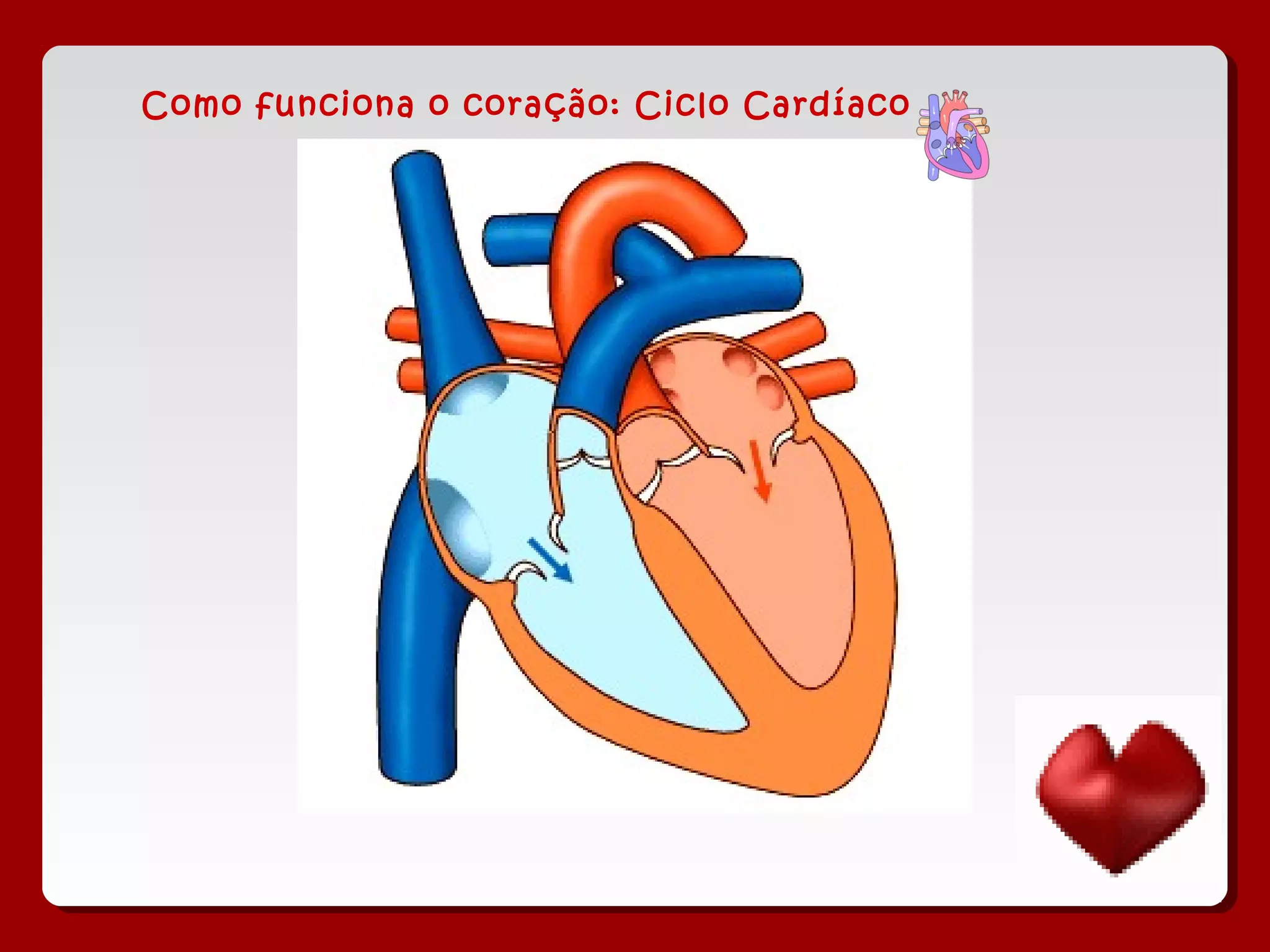 Como funciona o coração: Ciclo Cardíaco
 