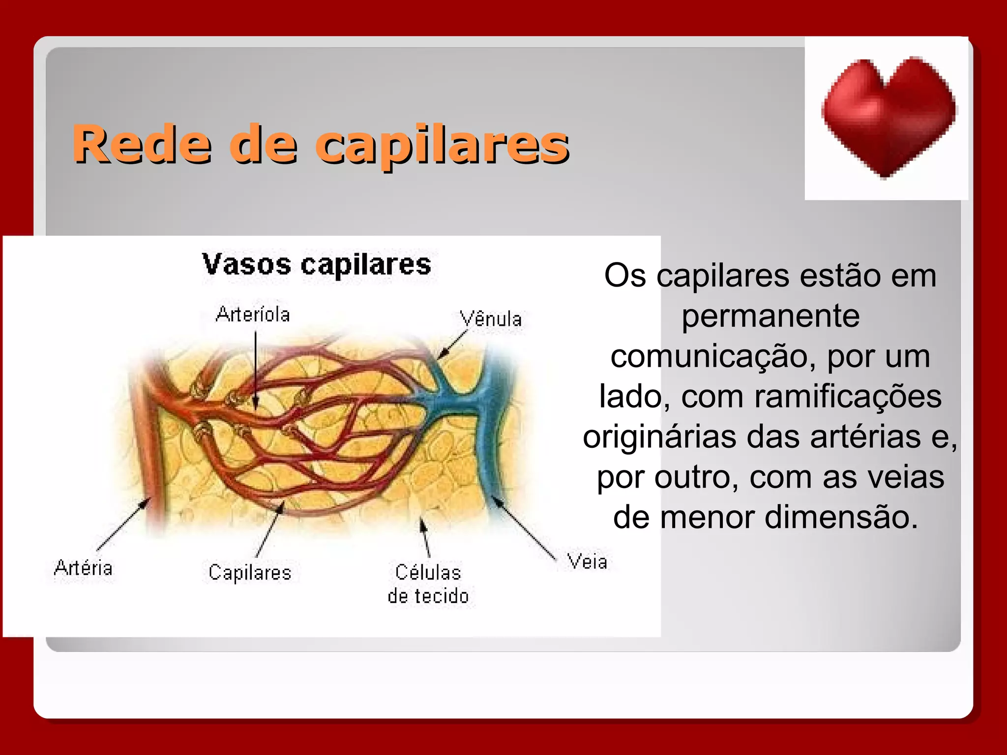Rede de capilaresRede de capilares
Os capilares estão em
permanente
comunicação, por um
lado, com ramificações
originárias das artérias e,
por outro, com as veias
de menor dimensão.
 