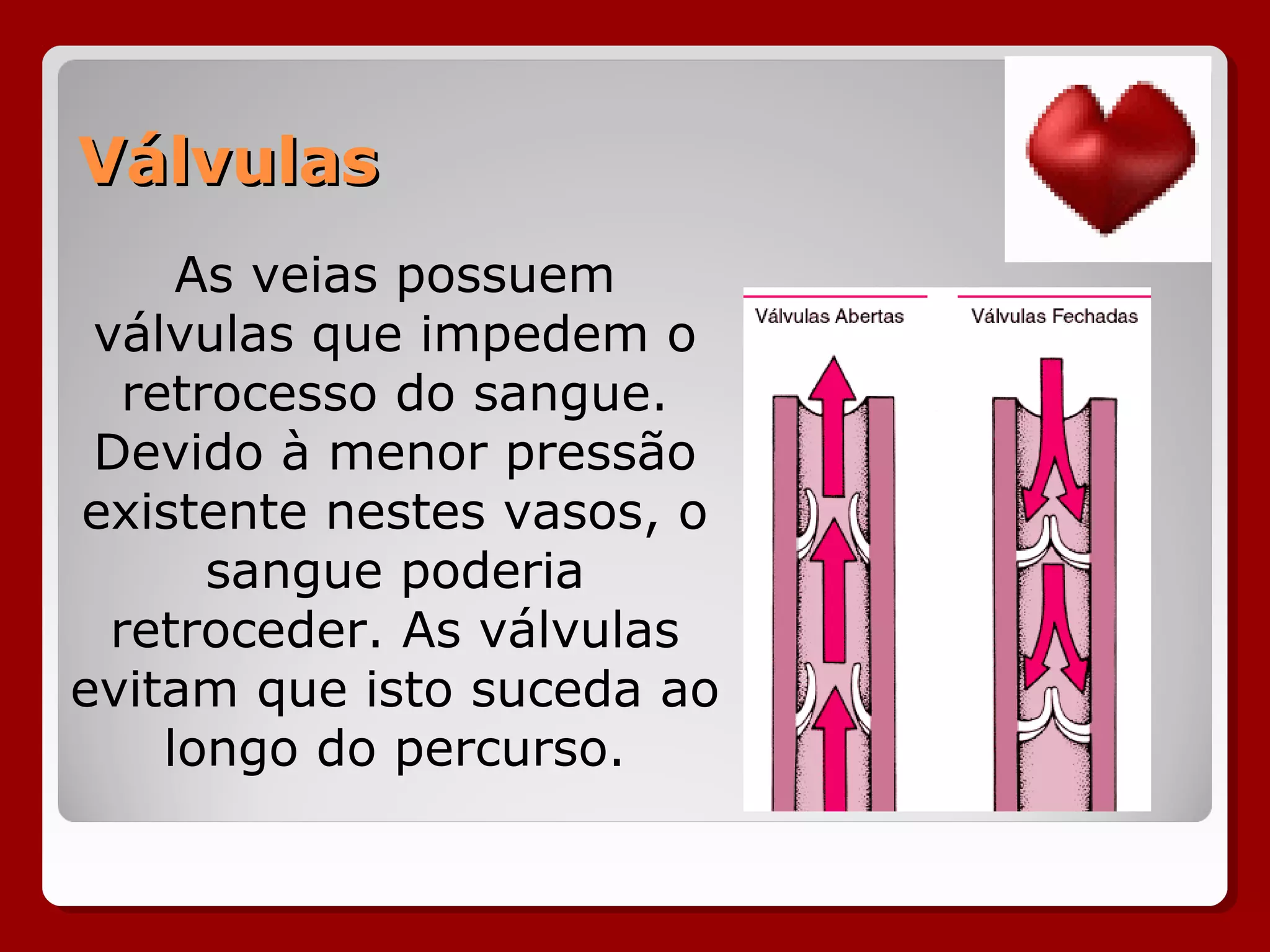 VálvulasVálvulas
As veias possuem
válvulas que impedem o
retrocesso do sangue.
Devido à menor pressão
existente nestes vasos, o
sangue poderia
retroceder. As válvulas
evitam que isto suceda ao
longo do percurso.
 