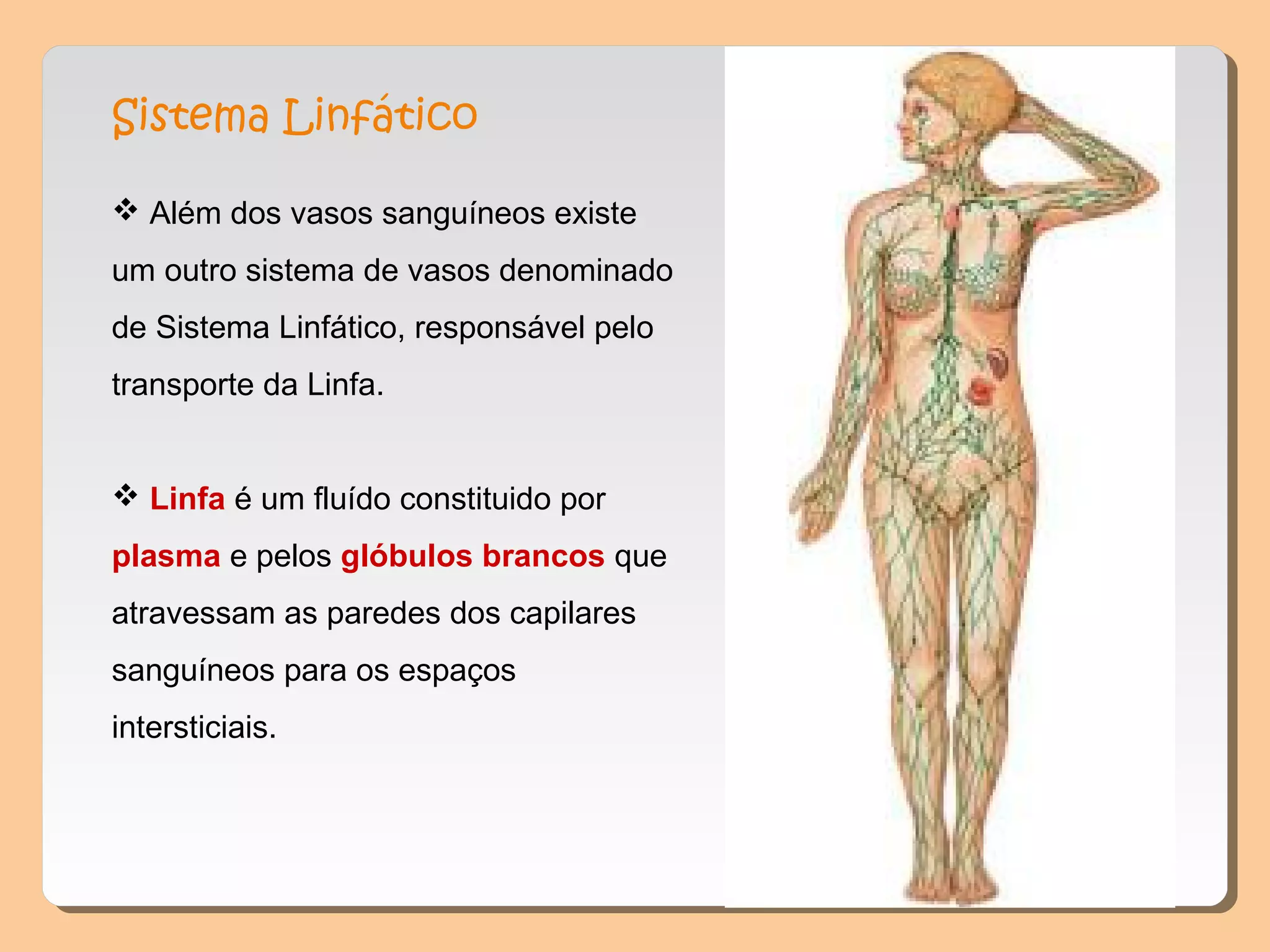 Sistema Linfático
 Além dos vasos sanguíneos existe
um outro sistema de vasos denominado
de Sistema Linfático, responsável pelo
transporte da Linfa.
 Linfa é um fluído constituido por
plasma e pelos glóbulos brancos que
atravessam as paredes dos capilares
sanguíneos para os espaços
intersticiais.
 