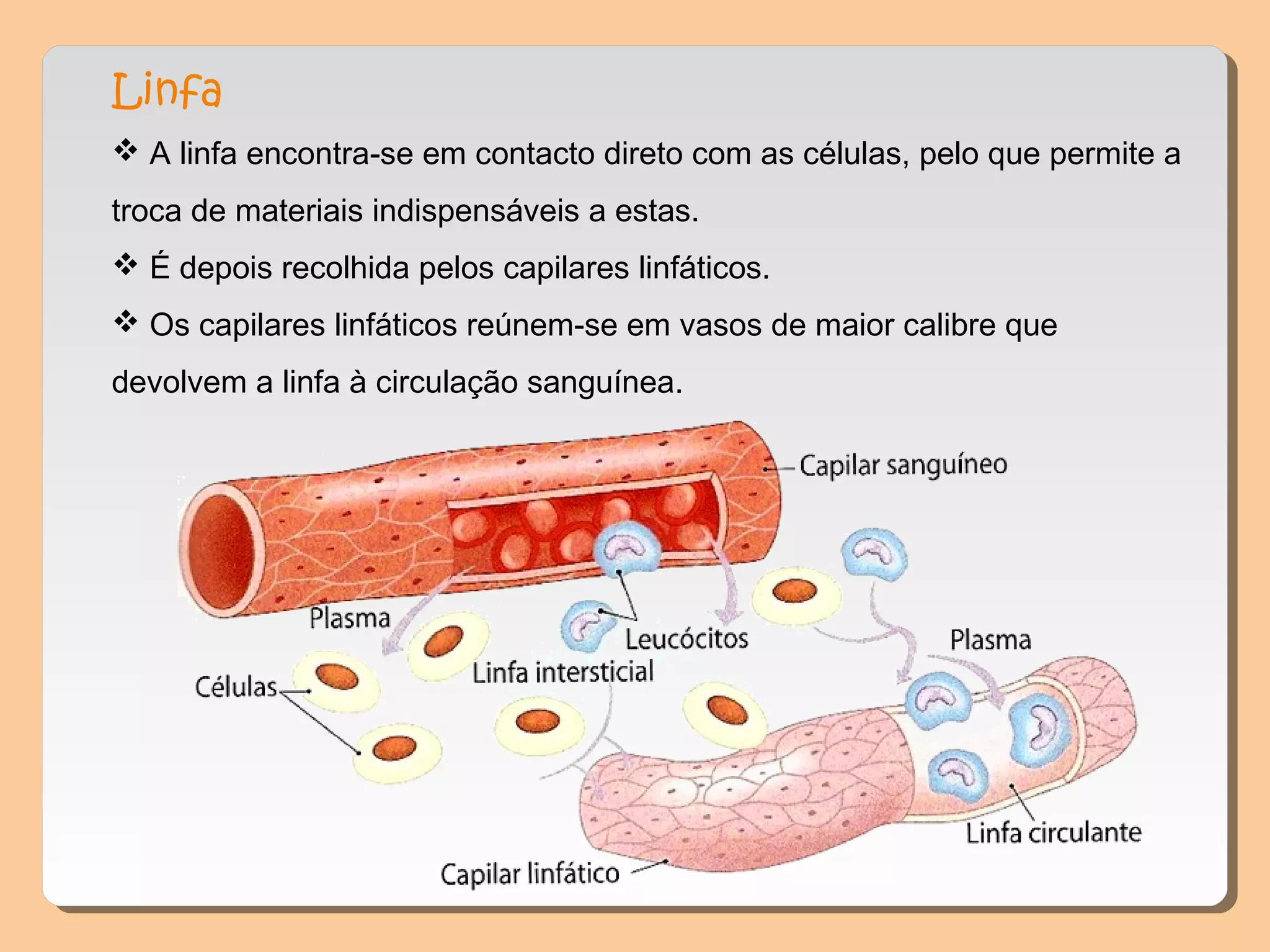 Linfa
 A linfa encontra-se em contacto direto com as células, pelo que permite a
troca de materiais indispensáveis a estas.
 É depois recolhida pelos capilares linfáticos.
 Os capilares linfáticos reúnem-se em vasos de maior calibre que
devolvem a linfa à circulação sanguínea.
 