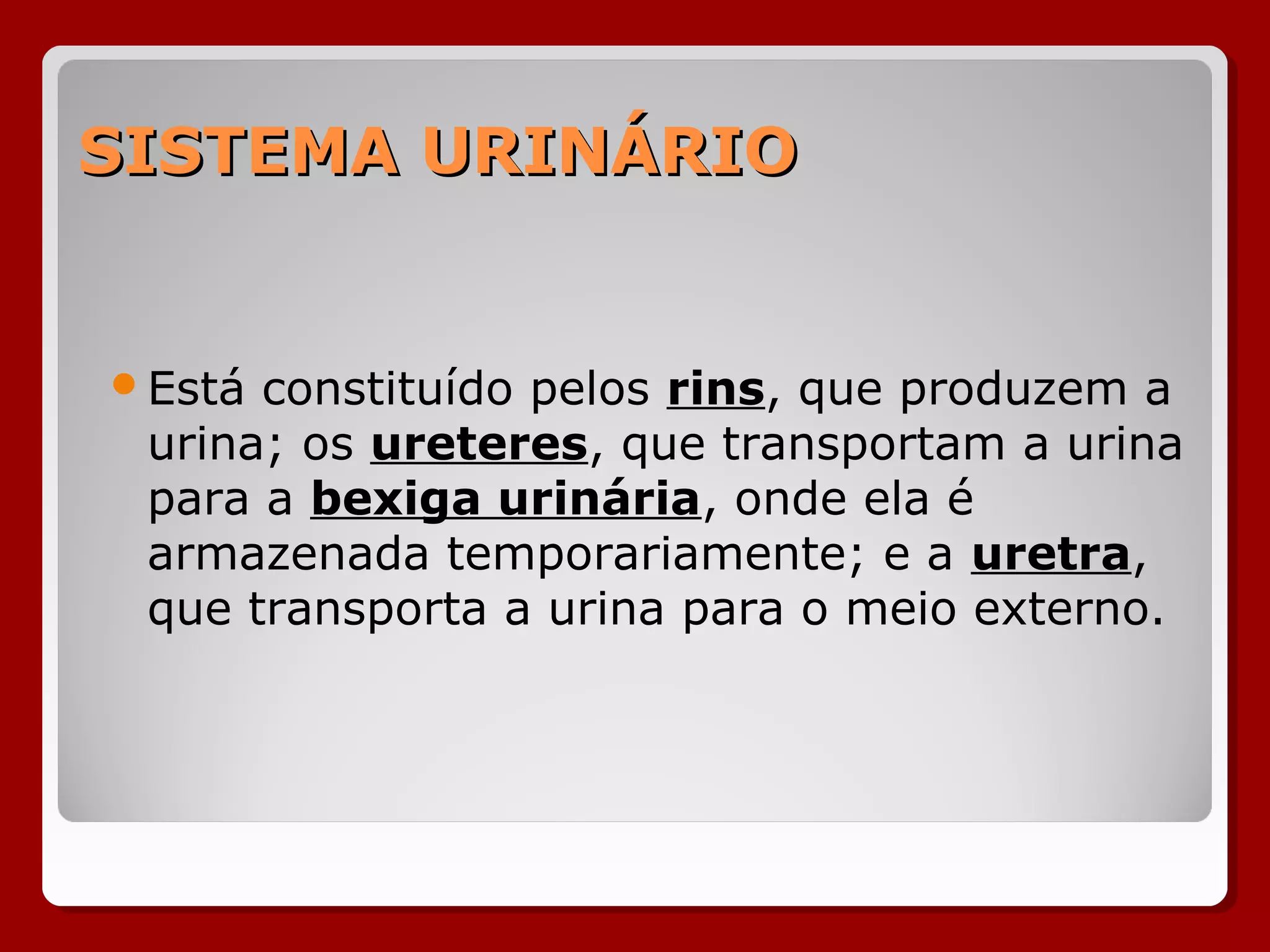 SISTEMA URINÁRIOSISTEMA URINÁRIO
Está constituído pelos rins, que produzem a
urina; os ureteres, que transportam a urina
para a bexiga urinária, onde ela é
armazenada temporariamente; e a uretra,
que transporta a urina para o meio externo.
 