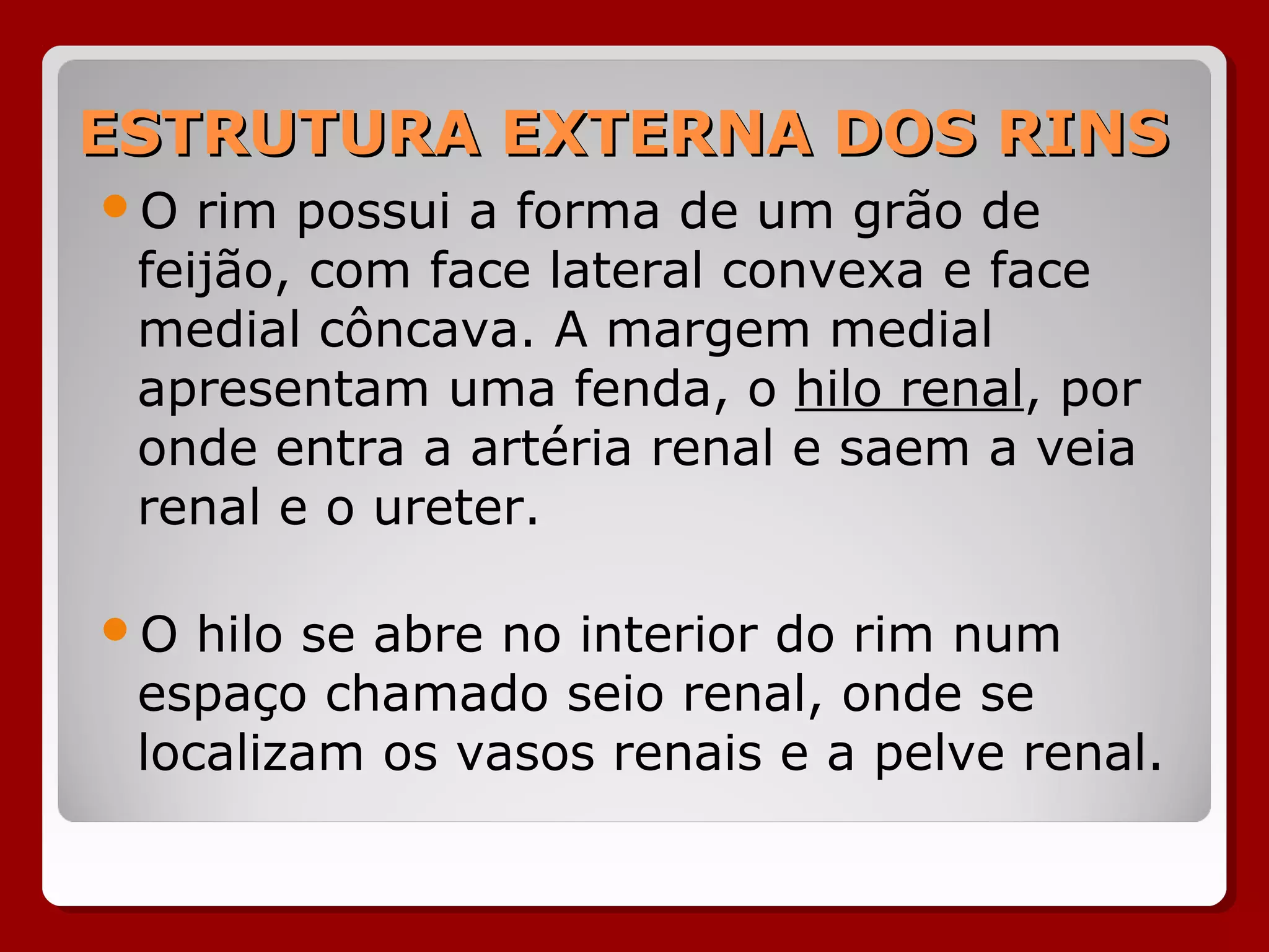 ESTRUTURA EXTERNA DOS RINSESTRUTURA EXTERNA DOS RINS
O rim possui a forma de um grão de
feijão, com face lateral convexa e face
medial côncava. A margem medial
apresentam uma fenda, o hilo renal, por
onde entra a artéria renal e saem a veia
renal e o ureter.
O hilo se abre no interior do rim num
espaço chamado seio renal, onde se
localizam os vasos renais e a pelve renal.
 