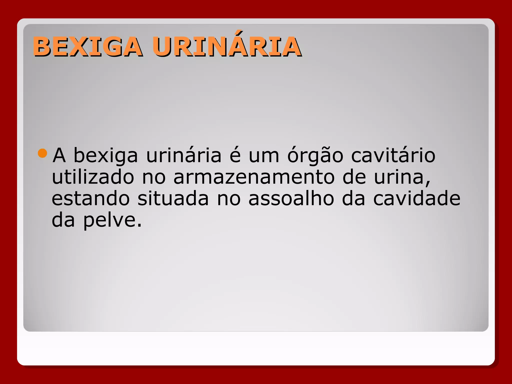 BEXIGA URINÁRIABEXIGA URINÁRIA
A bexiga urinária é um órgão cavitário
utilizado no armazenamento de urina,
estando situada no assoalho da cavidade
da pelve.
 