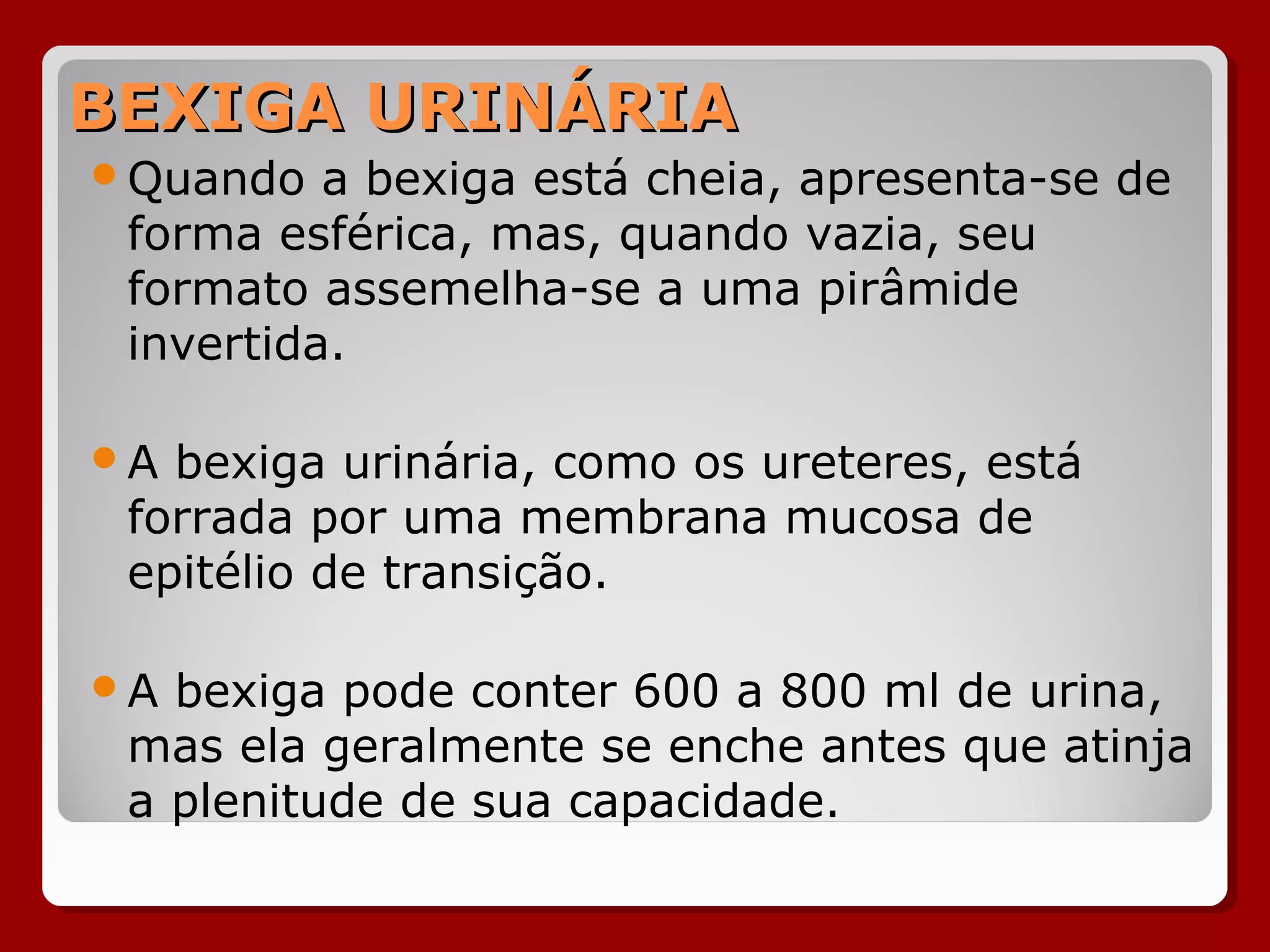 BEXIGA URINÁRIABEXIGA URINÁRIA
Quando a bexiga está cheia, apresenta-se de
forma esférica, mas, quando vazia, seu
formato assemelha-se a uma pirâmide
invertida.
A bexiga urinária, como os ureteres, está
forrada por uma membrana mucosa de
epitélio de transição.
A bexiga pode conter 600 a 800 ml de urina,
mas ela geralmente se enche antes que atinja
a plenitude de sua capacidade.
 