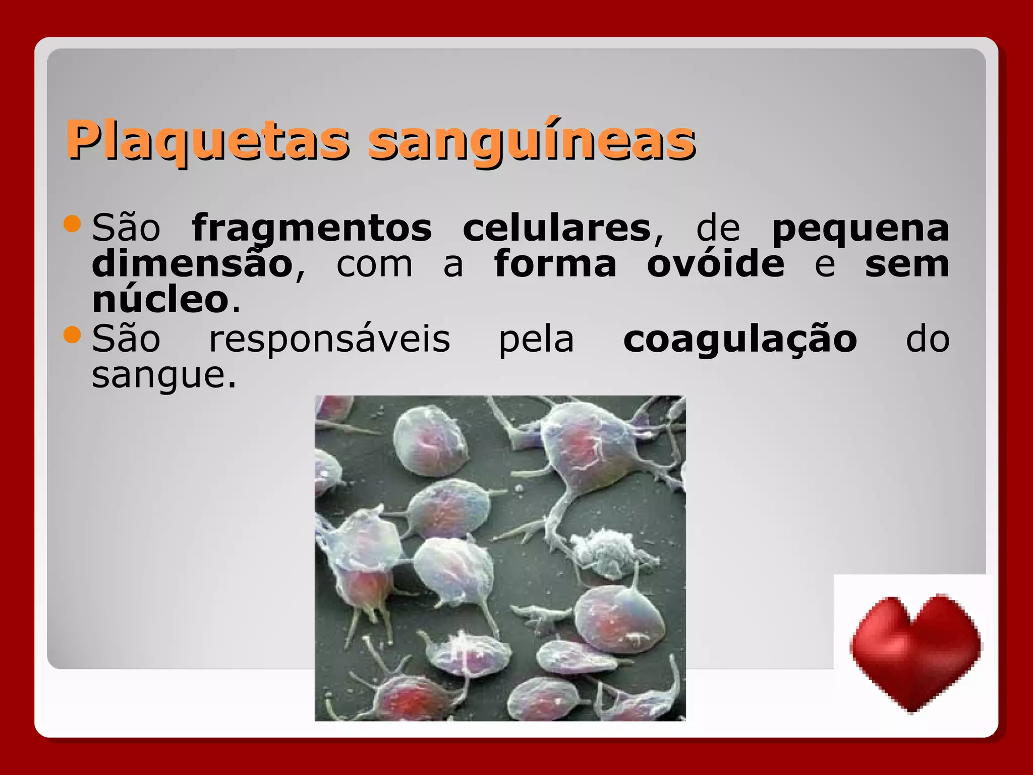 Plaquetas sanguíneasPlaquetas sanguíneas
São fragmentos celulares, de pequena
dimensão, com a forma ovóide e sem
núcleo.
São responsáveis pela coagulação do
sangue.
 