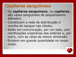 Capilares sanguíneosCapilares sanguíneos
Os capilares sanguíneos, ou capilares,
são vasos sanguíneos de pequeníssimo
diâmetro.
Constituem a rede de distribuição e
recolha do sangue nas células.
Estão em comunicação, por um lado, com
ramificações originárias das artérias e, por
outro, com as veias de menor dimensão.
Existem em grande quantidade no nosso
corpo.
 