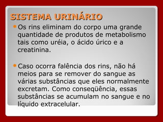 SISTEMA URINÁRIOSISTEMA URINÁRIO
Os rins eliminam do corpo uma grande
quantidade de produtos de metabolismo
tais como uréia, o ácido úrico e a
creatinina.
Caso ocorra falência dos rins, não há
meios para se remover do sangue as
várias substâncias que eles normalmente
excretam. Como conseqüência, essas
substâncias se acumulam no sangue e no
líquido extracelular.
 