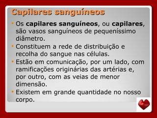 Capilares sanguíneos Os  capilares sanguíneos , ou  capilares , são vasos sanguíneos de pequeníssimo diâmetro.  Constituem a rede de distribuição e recolha do sangue nas células.  Estão em comunicação, por um lado, com ramificações originárias das artérias e, por outro, com as veias de menor dimensão.  Existem em grande quantidade no nosso corpo. 