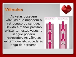 Válvulas As veias possuem válvulas que impedem o retrocesso do sangue. Devido à menor pressão existente nestes vasos, o sangue poderia retroceder. As válvulas evitam que isto suceda ao longo do percurso. 