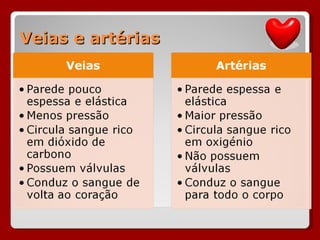 Veias e artérias 