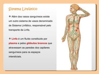 Sistema Linfático   Além dos vasos sanguíneos existe um outro sistema de vasos denominado de Sistema Linfático, responsável pelo transporte da Linfa.  Linfa   é um fluído constituido por  plasma  e pelos  glóbulos brancos  que atravessam as paredes dos capilares sanguíneos para os espaços intersticiais.  