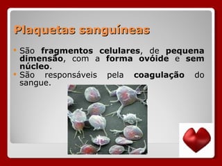 Plaquetas sanguíneas São  fragmentos celulares , de  pequena dimensão , com a  forma ovóide  e  sem núcleo .  São responsáveis pela  coagulação  do sangue.  
