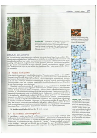 Cap05   líquidos e sólidos