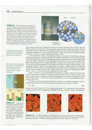 Cap08   equilíbrios físicos