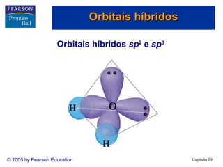 Orbitais híbridos

                    Orbitais híbridos sp2 e sp3




© 2005 by Pearson Education                       Capítulo 09
 