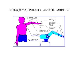 O BRAÇO MANIPULADOR ANTROPOMÓRFICO
 