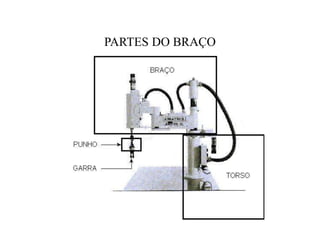PARTES DO BRAÇO
 