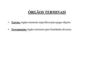 ÓRGÃOS TERMINAIS
• Garras: órgãos terminais específicos para pegar objetos.
• Ferramentas: órgãos terminais para finalidades diversas.
 