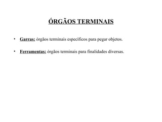 ÓRGÃOS TERMINAIS
• Garras: órgãos terminais específicos para pegar objetos.
• Ferramentas: órgãos terminais para finalidades diversas.
 