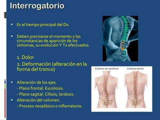 Interrogatorio Es el tiempo principal del Dx. Deben precisarse el momento y las circunstancias de aparición de los síntomas, su evolución Y Tx efectuados. 1. Dolor 2. Deformación (alteración en la forma del tronco) Alteración de los ejes. - Plano frontal. Escoliosis. - Plano sagital. Cifosis, lordosis. Alteración del volumen. - Proceso neoplásico o inflamatorio. 