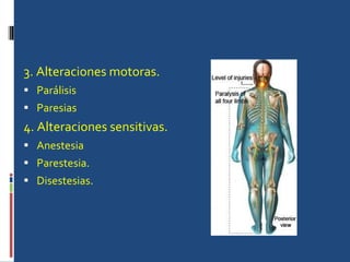 3. Alteraciones motoras. Parálisis Paresias 4. Alteraciones sensitivas. Anestesia Parestesia. Disestesias. 