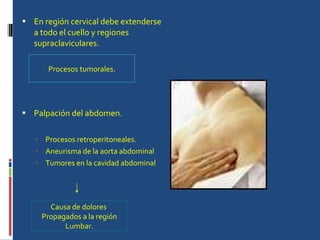 En región cervical debe extenderse a todo el cuello y regiones supraclaviculares. Palpación del abdomen. Procesos retroperitoneales. Aneurisma de la aorta abdominal Tumores en la cavidad abdominal Procesos tumorales. Causa de dolores  Propagados a la región Lumbar. 