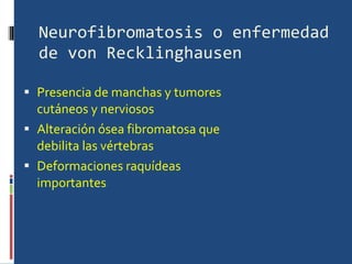 Neurofibromatosis o enfermedad de von Recklinghausen Presencia de manchas y tumores cutáneos y nerviosos Alteración ósea fibromatosa que debilita las vértebras Deformaciones raquídeas importantes 