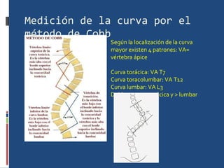 Medición de la curva por el método de Cobb Según la localización de la curva mayor existen 4 patrones: VA= vértebra ápice Curva torácica: VA T7 Curva toracolumbar: VA T12 Curva lumbar: VA L3 Doble curva: > torácica y > lumbar 