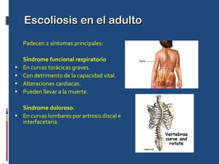 Escoliosis en el adulto Padecen 2 síntomas principales: Síndrome funcional respiratorio En curvas torácicas graves. Con detrimento de la capacidad vital. Alteraciones cardiacas. Pueden llevar a la muerte. Síndrome doloroso. En curvas lumbares por artrosis discal e interfacetaria. 