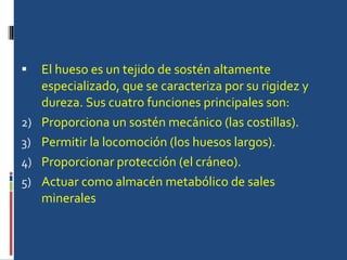 El hueso es un tejido de sostén altamente especializado, que se caracteriza por su rigidez y dureza. Sus cuatro funciones principales son: Proporciona un sostén mecánico (las costillas).  Permitir la locomoción (los huesos largos).  Proporcionar protección (el cráneo).  Actuar como almacén metabólico de sales minerales 
