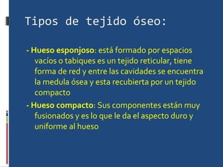 Tipos de tejido óseo: - Hueso esponjoso : está formado por espacios vacíos o tabiques es un tejido reticular, tiene forma de red y entre las cavidades se encuentra la medula ósea y esta recubierta por un tejido compacto  - Hueso compacto : Sus componentes están muy fusionados y es lo que le da el aspecto duro y uniforme al hueso  