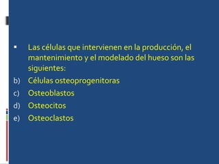 Las células que intervienen en la producción, el mantenimiento y el modelado del hueso son las siguientes: Células osteoprogenitoras  Osteoblastos  Osteocitos  Osteoclastos 