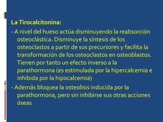 La Tirocalcitonina: - A nivel del hueso actúa disminuyendo la reabsorción osteoclástica. Disminuye la síntesis de los osteoclastos a partir de sus precursores y facilita la transformación de los osteoclastos en osteoblastos. Tienen por tanto un efecto inverso a la parathormona (es estimulada por la hipercalcemia e inhibida por la hipocalcemia) - Además bloquea la osteolisis inducida por la parathormona, pero sin inhibirse sus otras acciones óseas  