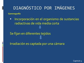 DIAGNÓSTICO POR IMÁGENES Incorporación en el organismo de sustancias radiactivas de vida media corta Se fijan en diferentes tejidos Irradiación es captada por una cámara Capitulo 3 Gammagrafía  
