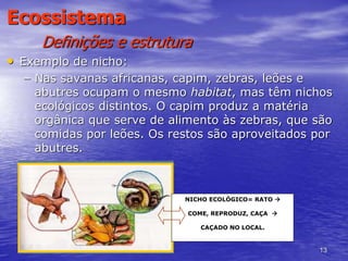 13
Ecossistema
Definições e estrutura
• Exemplo de nicho:
– Nas savanas africanas, capim, zebras, leões e
abutres ocupam o mesmo habitat, mas têm nichos
ecológicos distintos. O capim produz a matéria
orgânica que serve de alimento às zebras, que são
comidas por leões. Os restos são aproveitados por
abutres.
NICHO ECOLÓGICO= RATO 
COME, REPRODUZ, CAÇA 
CAÇADO NO LOCAL.
 
