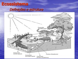 14
Ecossistema
Definições e estrutura
 