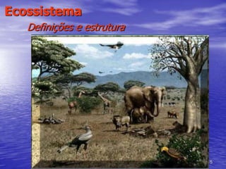15
Ecossistema
Definições e estrutura
 