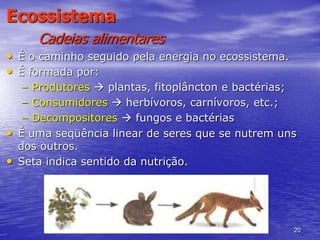 20
Ecossistema
Cadeias alimentares
• É o caminho seguido pela energia no ecossistema.
• É formada por:
– Produtores  plantas, fitoplâncton e bactérias;
– Consumidores  herbívoros, carnívoros, etc.;
– Decompositores  fungos e bactérias
• É uma seqüência linear de seres que se nutrem uns
dos outros.
• Seta indica sentido da nutrição.
 